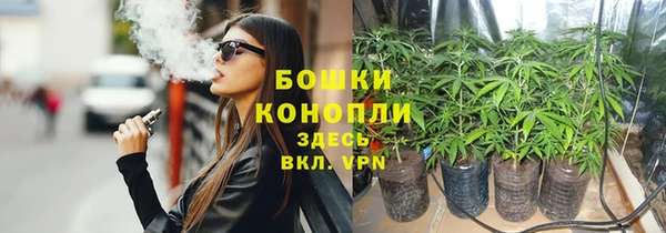 сатива Михайловск