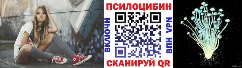 Купить  Фрязино  Галлюциногенные грибы Cubensis 