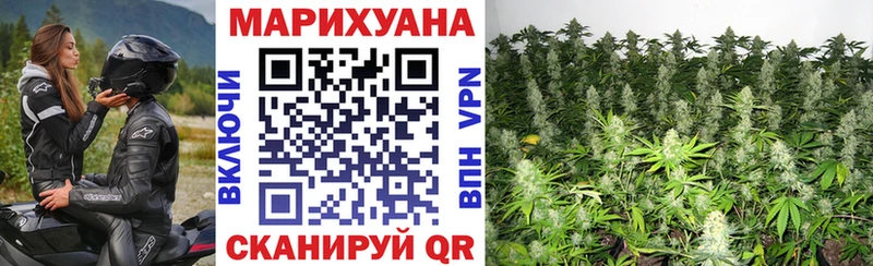 Шишки марихуана тримм  Купить где  Фрязино 